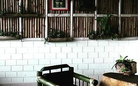 Longchen Homestay