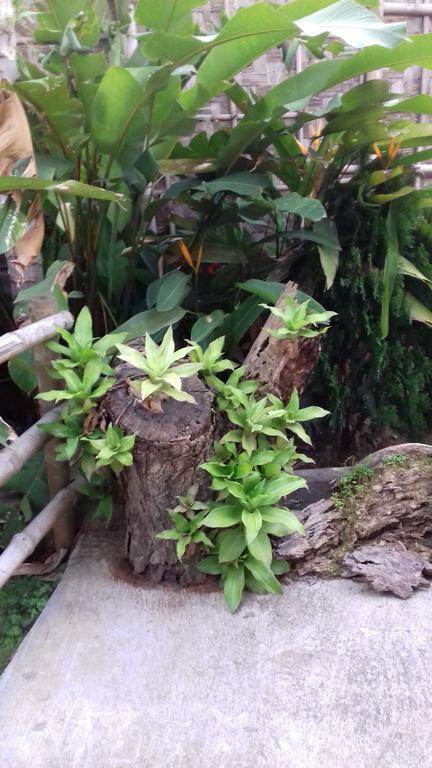 Longchen Homestay Dimapur Exterior photo